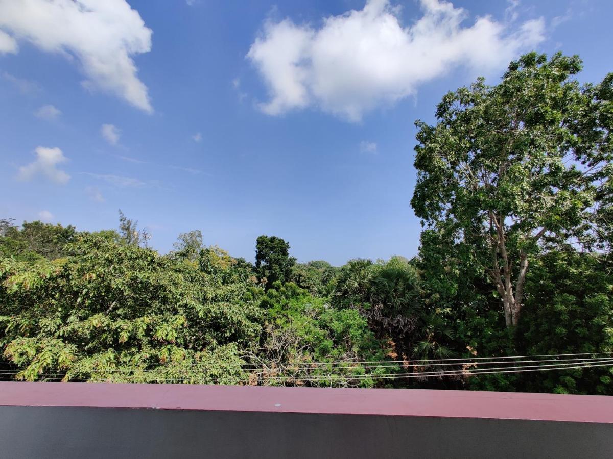 Bed and Breakfast Badrinath House Auroville Exterior foto